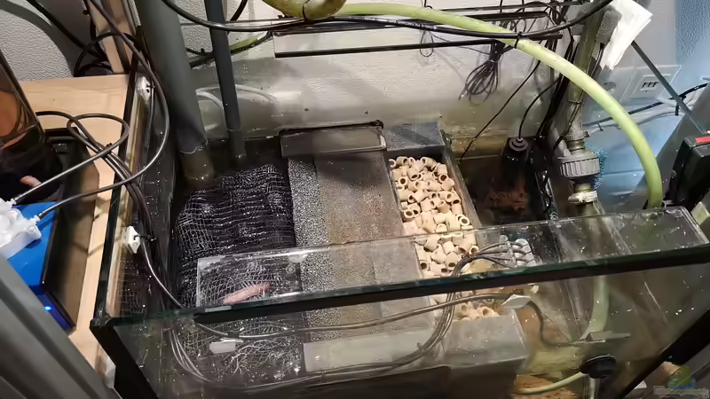 Technik-/ Filterbecken von Der Küstenjunge (26)