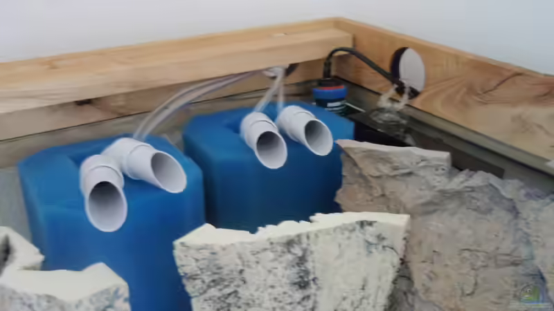 Technik-Ecke links von The Pictus catfish (27)