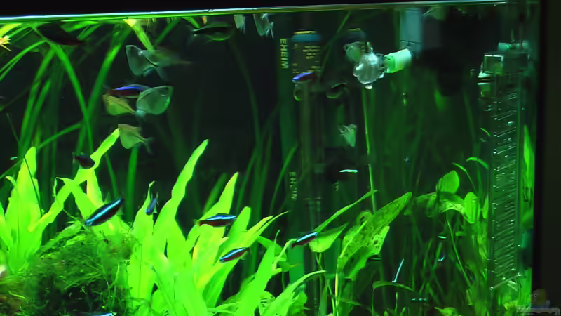 Technik Ecke von DennisTheMenis (8)