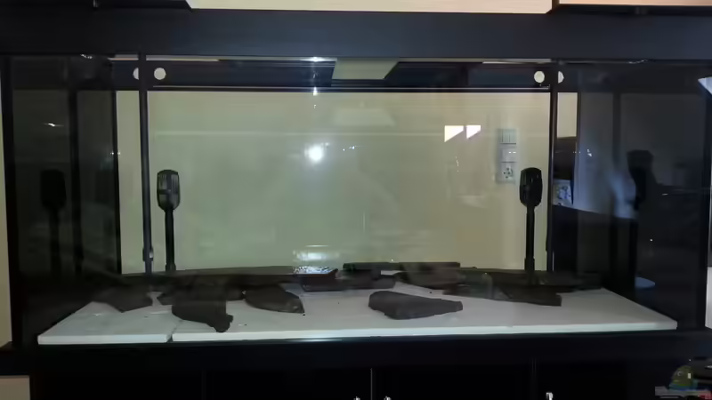 Technik im Aquarium -Malawisee in Köln- von Thomas B. (17)