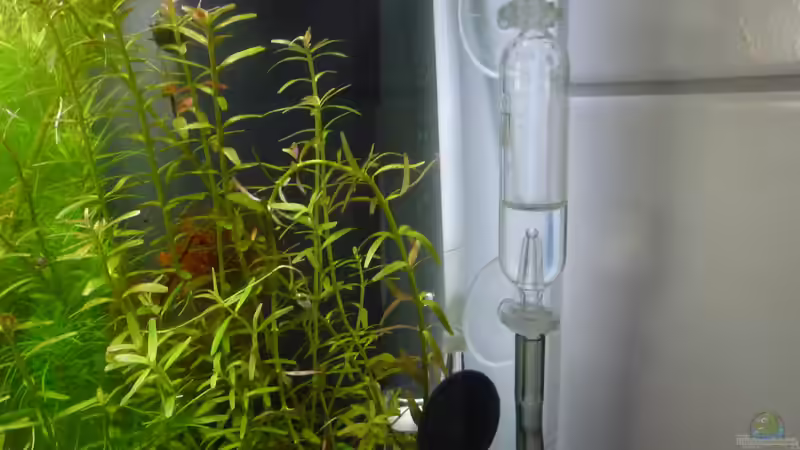 Technik im Aquarium 1. Versuch Nano Cube von Ralf Kottmeier (19)