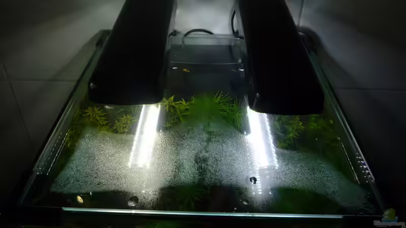 Technik im Aquarium 1. Versuch Nano Cube von Ralf Kottmeier (20)