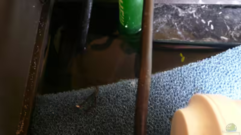 Technik im Aquarium 133er von Cichlid Power (13)