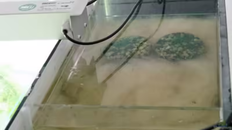 Technik im Aquarium 1600 Liter Erdfresserbecken (abgebaut) von Rene Dietzel (4)