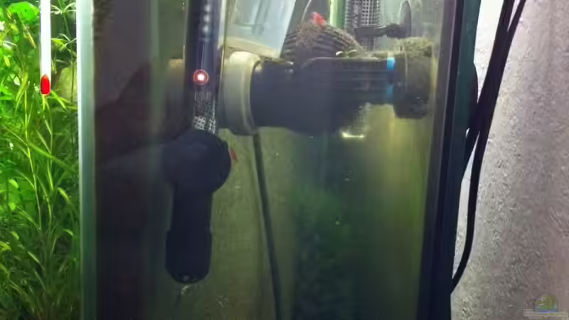 Technik im Aquarium 160x60x60 von Torsten Franke (12)