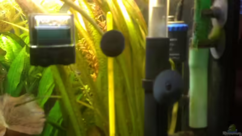 Technik im Aquarium 200er von Pflanzenfreund (18)