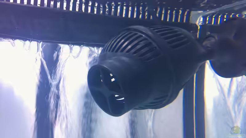 Technik im Aquarium 300L44 von Patrick Fisch (10)