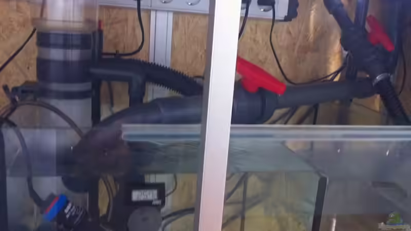 Technik im Aquarium 300L44 von Patrick Fisch (12)