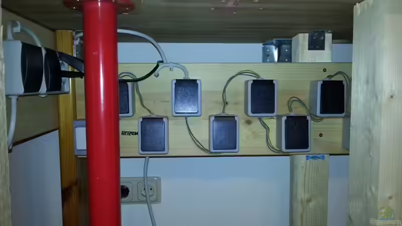 Technik im Aquarium 450 Liter Malawi von Michael Boeck (22)