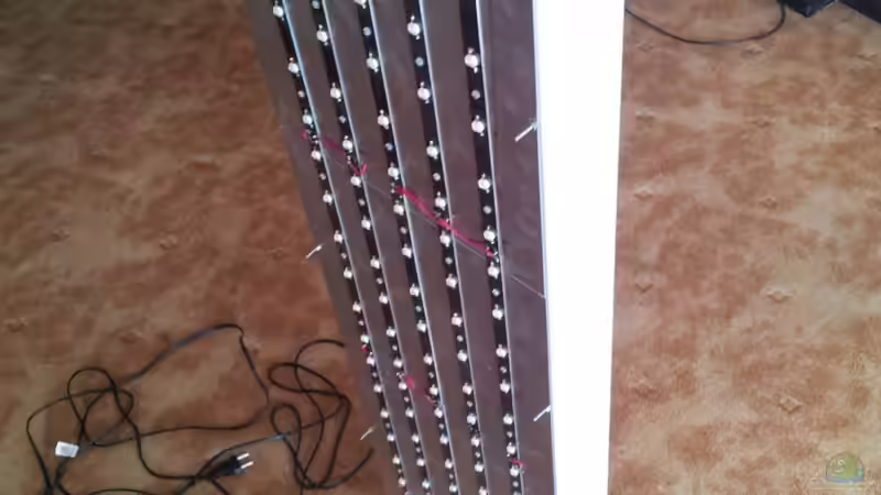 Technik im Aquarium 450l Meerwasser von Maik (23)