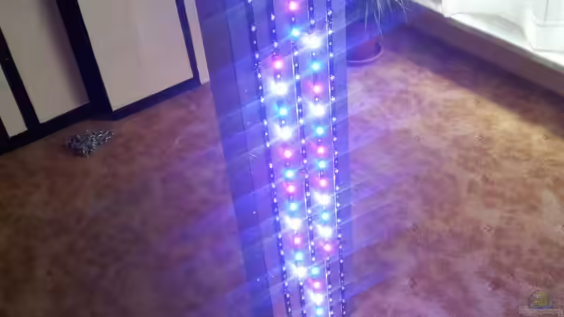 Technik im Aquarium 450l Meerwasser von Maik (26)