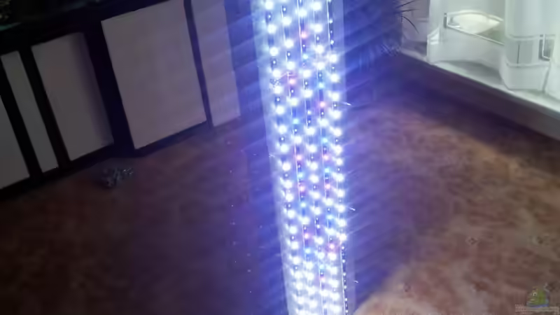 Technik im Aquarium 450l Meerwasser von Maik (27)