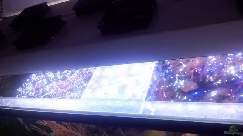 Technik im Aquarium 450l Meerwasser von Maik (28)