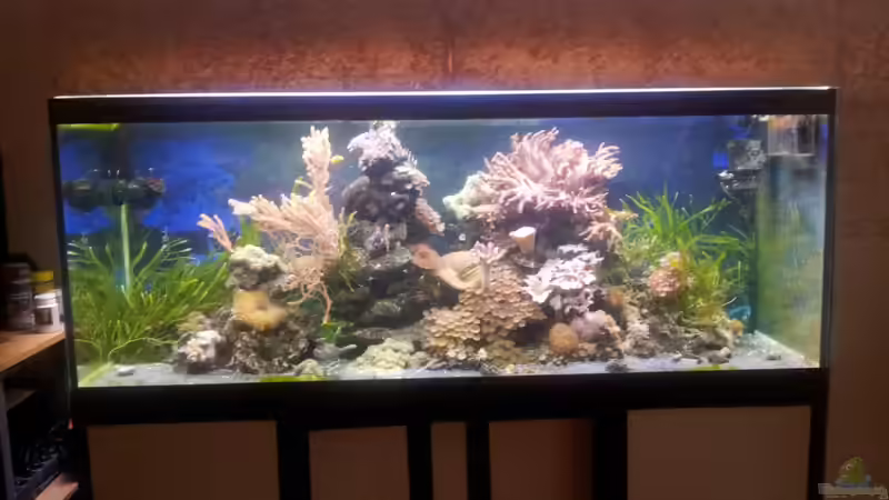 Technik im Aquarium 450l Meerwasser von Maik (32)