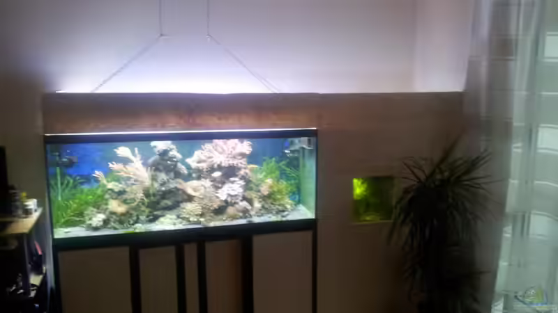 Technik im Aquarium 450l Meerwasser von Maik (33)