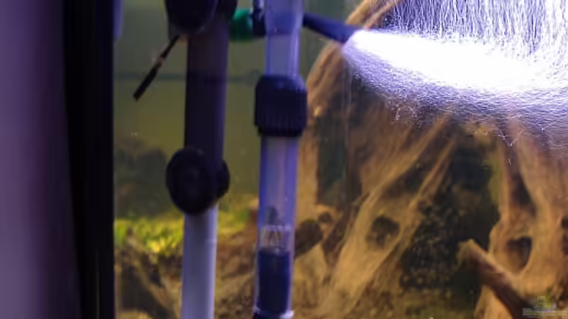 Technik im Aquarium 480L Piranha Naturbecken von Sekman (6)