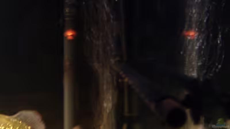 Technik im Aquarium 480L Piranha Naturbecken von Sekman (7)