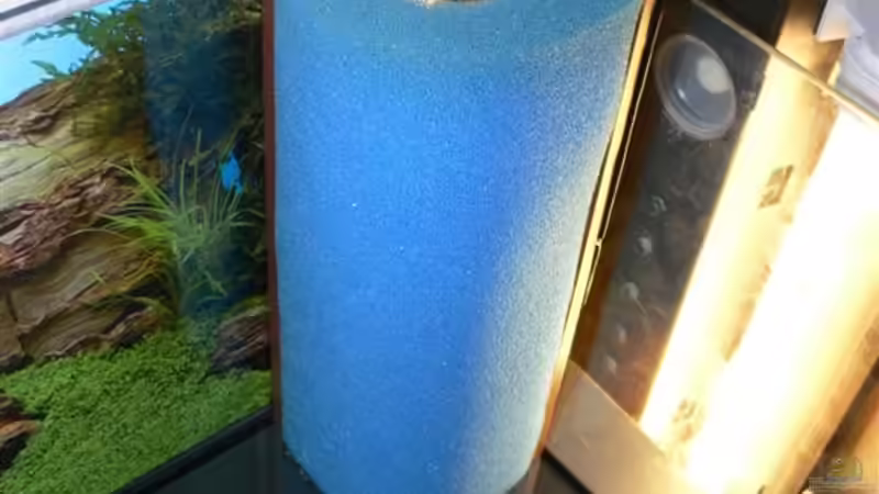 Technik im Aquarium 54 Liter von Lexterpower (10)