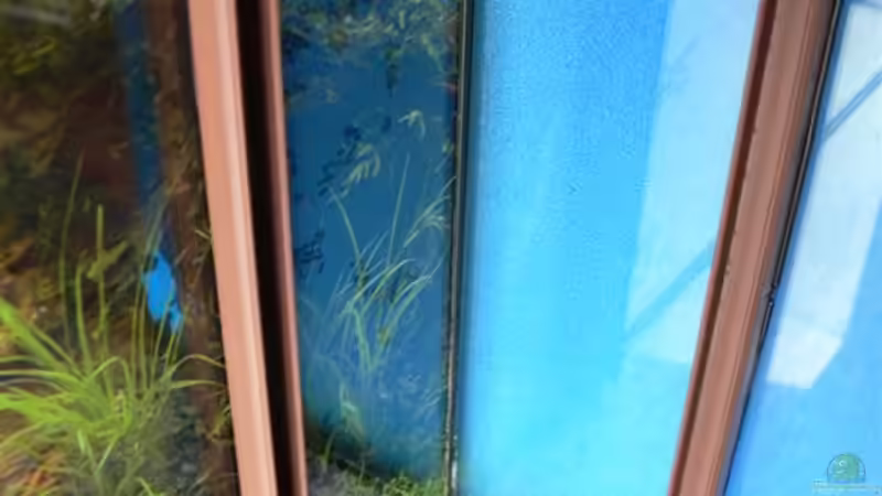 Technik im Aquarium 54 Liter von Lexterpower (9)