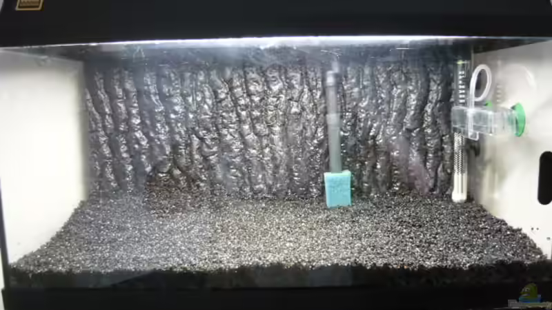 Technik im Aquarium 54 Liter von Wels (14)