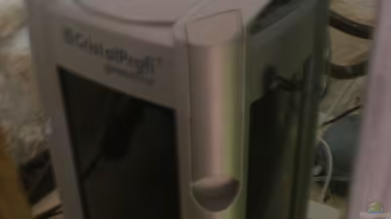 Technik im Aquarium 540er flösselhecht revier von Christian Fries (5)