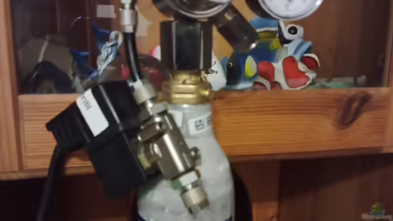 Technik im Aquarium 54er Scape / Wood-Stone von Torsten Bullmahn (36)