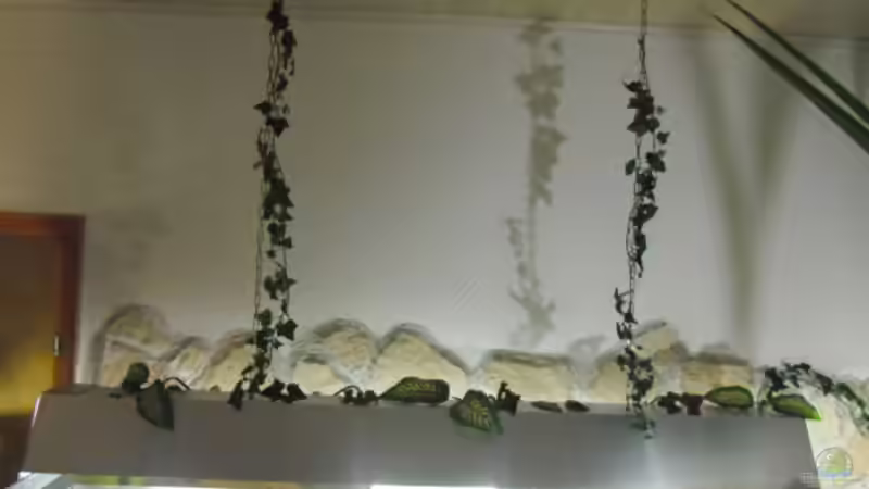 Technik im Aquarium 575er von Christian Fries (8)