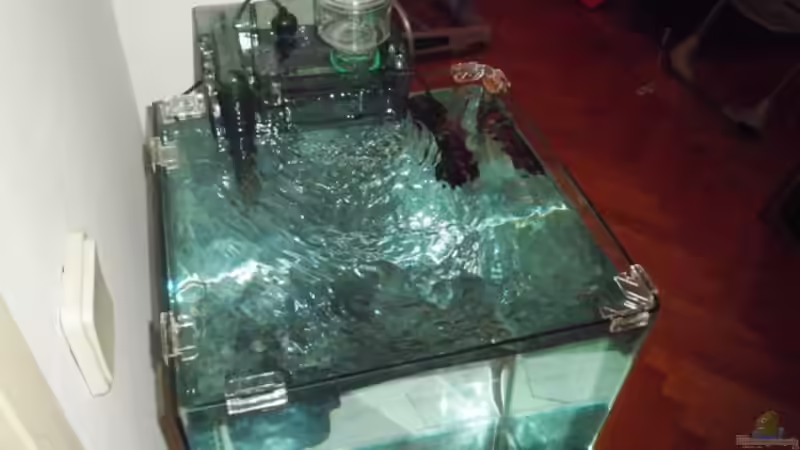 Technik im Aquarium 60l Miniriff von Mario_83 (2)