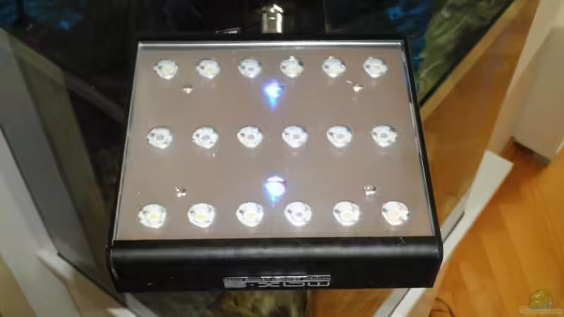 Technik im Aquarium 60l Miniriff von Mario_83 (3)