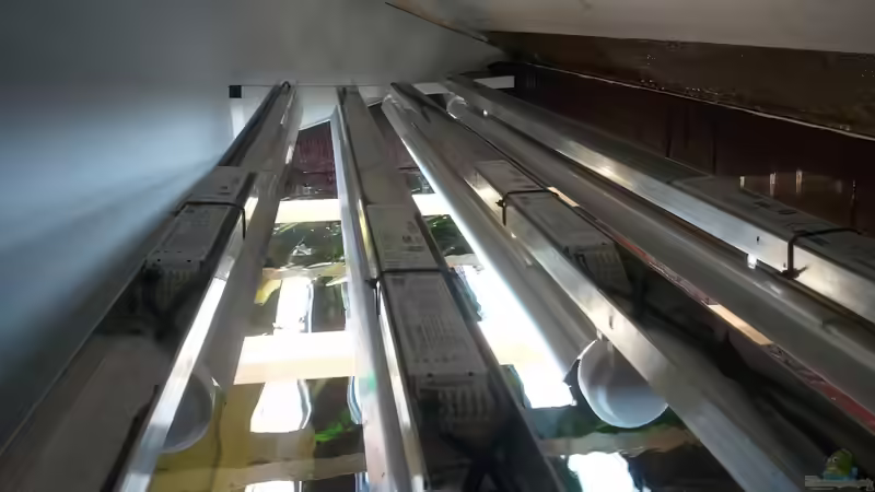 Technik im Aquarium 650L Holzaquarium von Lykos (11)