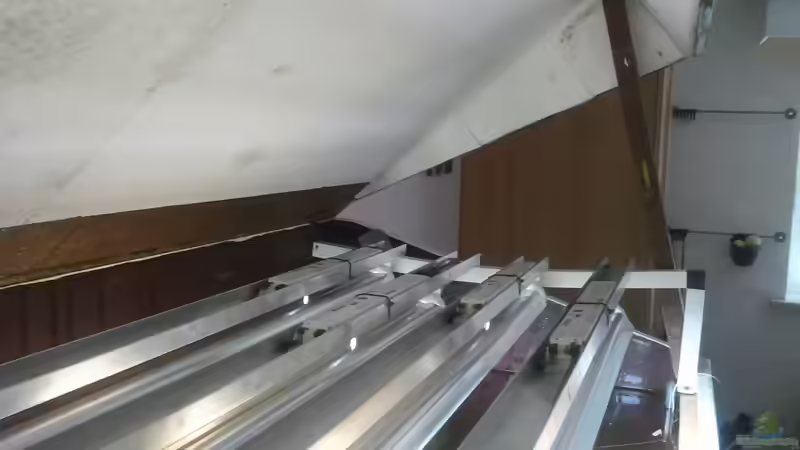 Technik im Aquarium 650L Holzaquarium von Lykos (12)