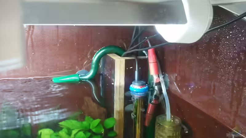 Technik im Aquarium 650L Holzaquarium von Lykos (13)