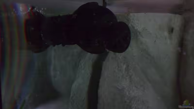 Technik im Aquarium 720 Liter Malawi von Mike Reimann (8)