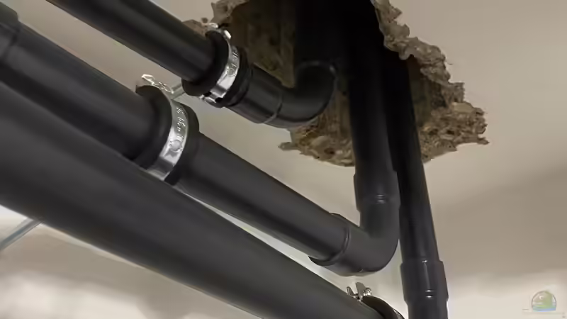 Technik im Aquarium 875 Liter Südamerika-Gesellschaft von Baron Zelle (22)