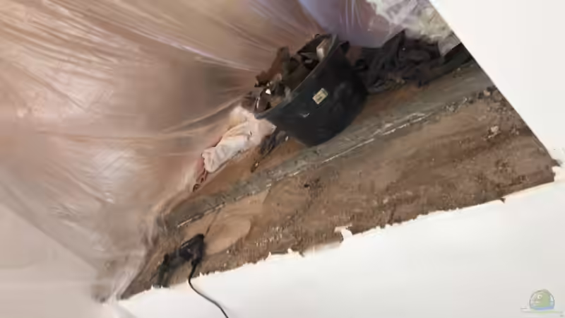 Technik im Aquarium 875 Liter Südamerika-Gesellschaft von Baron Zelle (28)