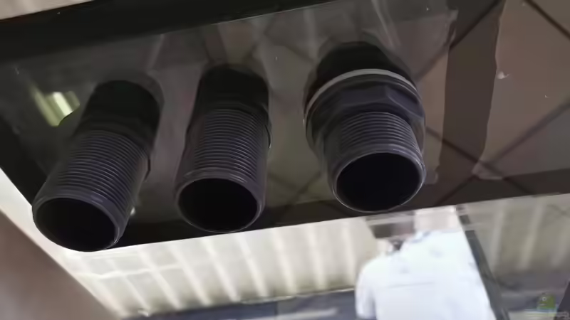 Technik im Aquarium 875 Liter Südamerika-Gesellschaft von Baron Zelle (30)