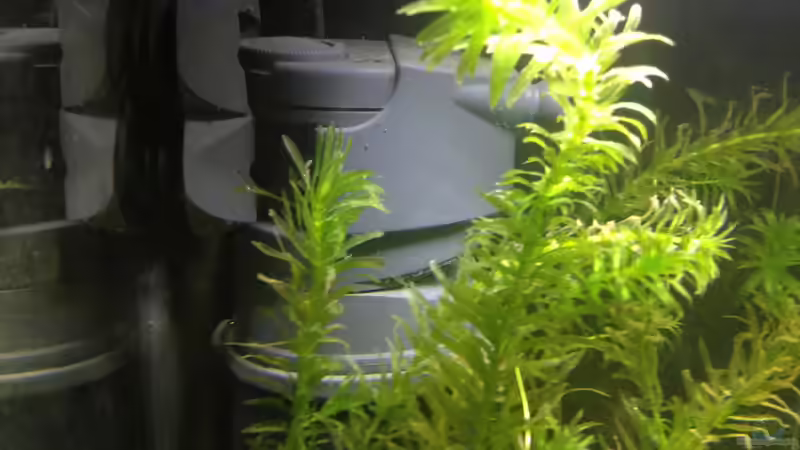 Technik im Aquarium A small one for the little one (aufgelöst) von der Steirer (23)