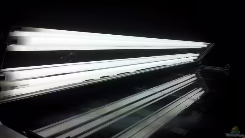 Technik im Aquarium a touch of nature von Panamericana85 (27)