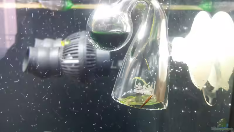 Technik im Aquarium a touch of nature von Panamericana85 (28)