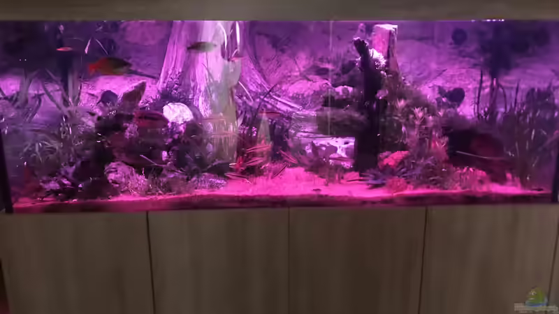 Technik im Aquarium Acero Gesellschaft von Acero (29)