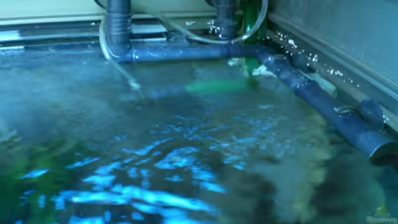 Technik im Aquarium @ce`s 325 L von African  Guy (10)