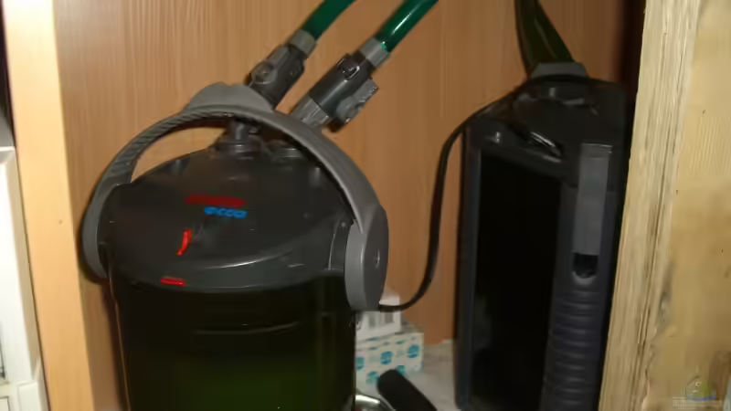 Technik im Aquarium @ce`s 325 L von African  Guy (11)