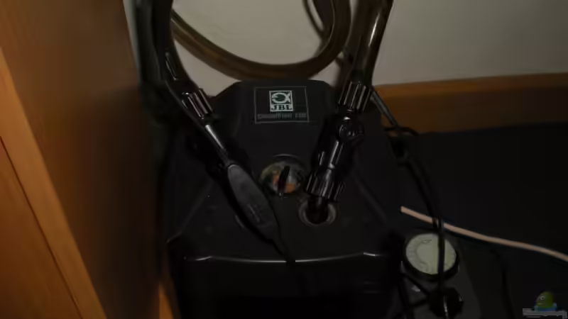 Technik im Aquarium Aequidens rivulatus von Stefan Kinter (10)