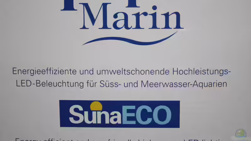Technik im Aquarium Afrikas Lake Malawi von Florian Bandhauer (69)