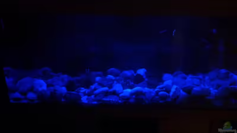 Technik im Aquarium Alabama cold river (Nur noch Beispiel) von Tobias Sch. (9)