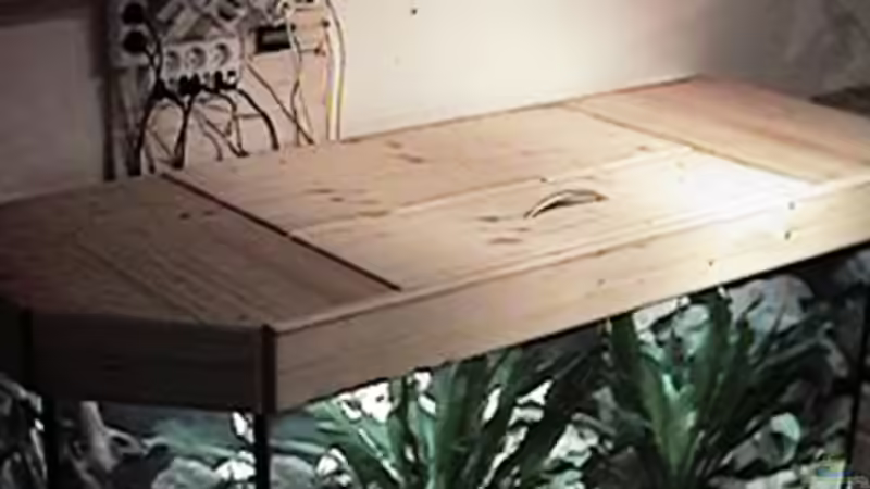 Technik im Aquarium Altes Aquarium aus 2002 von Thomas Schindler (4)