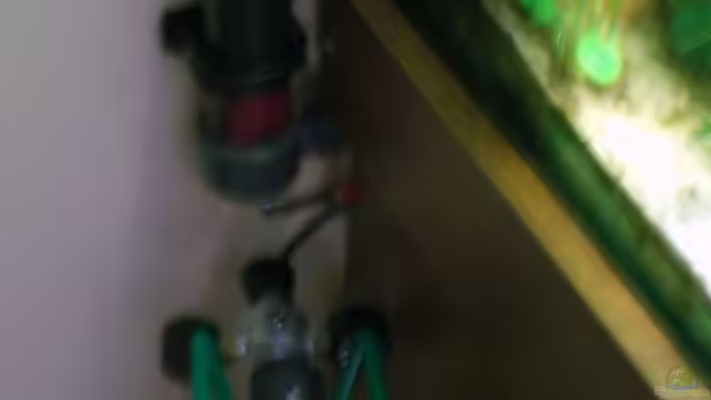 Technik im Aquarium Altes Barschbecken von Inot (11)