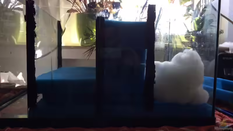 Technik im Aquarium ALTUMIA von Polski (12)