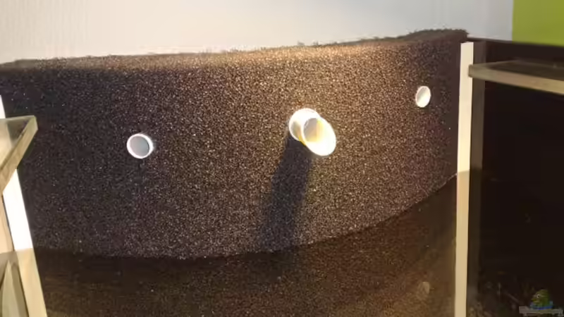 Technik im Aquarium Amazonas- Flussufer (aufgelöst) von Zigermandli (11)