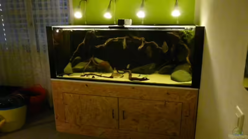 Technik im Aquarium Amazonas- Flussufer (aufgelöst) von Zigermandli (12)